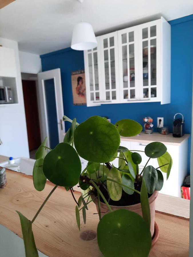 Appart Proche Plage Avec Grand Balcon Кан Екстериор снимка